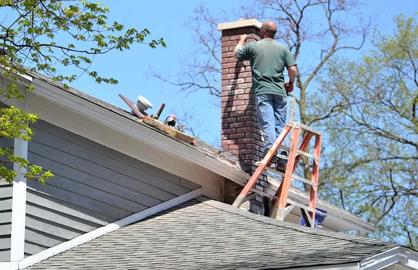 Chimney & Fireplace Inspections Services in Texarkana, AR